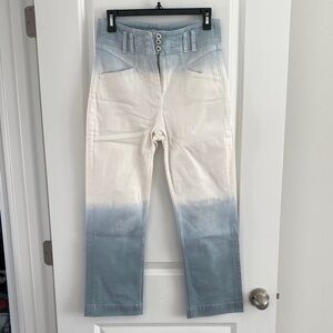 Anthropologie Denim size 28